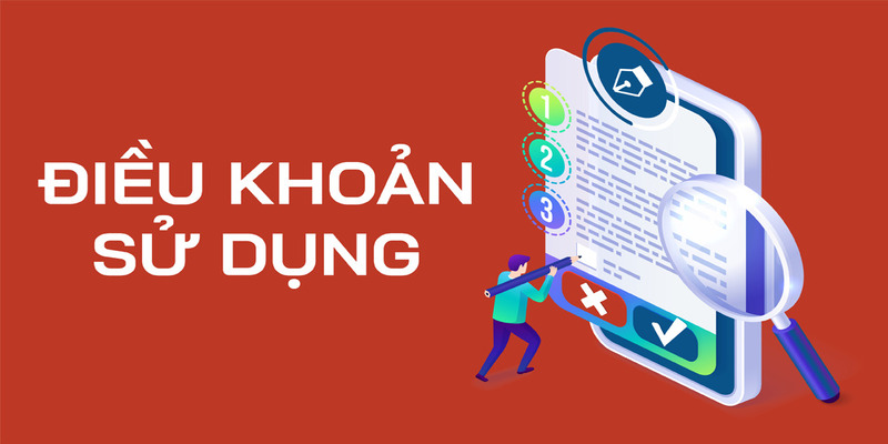 Phân loại về những điều khoản và quy định quan trọng 