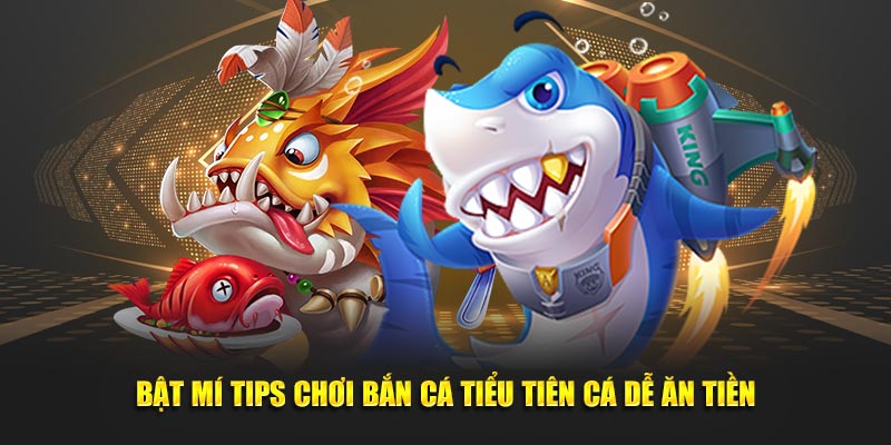 Bật mí tips chơi bắn cá tiểu tiên cá dễ ăn tiền